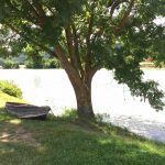 Picnic ved elva Marne Damery