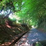 Vei i Normandie