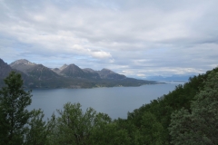 p%c3%a5-vei-ned-til-elgsnes-img_4367