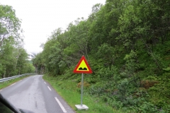 l%c3%a6rdal-aurland-molde-aurland-road-trip-2015-img_4891