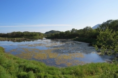ringstad-road-trip-2015-img_4445 ringstad-road-trip-2015-img_4445