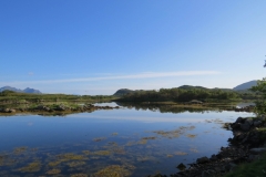 ringstad-road-trip-2015-img_4452