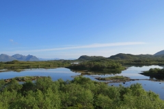 ringstad-road-trip-2015-img_4461