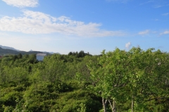 ringstad-road-trip-2015-img_4465 ringstad-road-trip-2015-img_4465