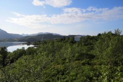 ringstad-road-trip-2015-img_4466 ringstad-road-trip-2015-img_4466