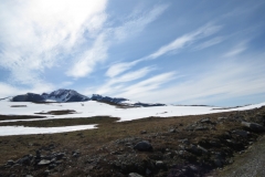 sognefjellet-img_4314
