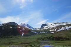 sognefjellet-img_4321