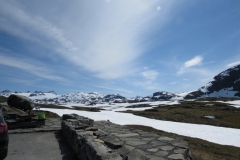 sognefjellet-img_4328
