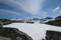 sognefjellet-img_4331