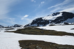 sognefjellet-img_4333