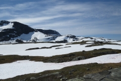 sognefjellet-img_4334