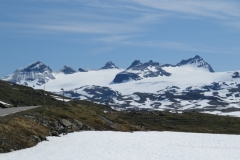 sognefjellet-img_4335