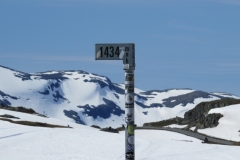 sognefjellet-img_4340